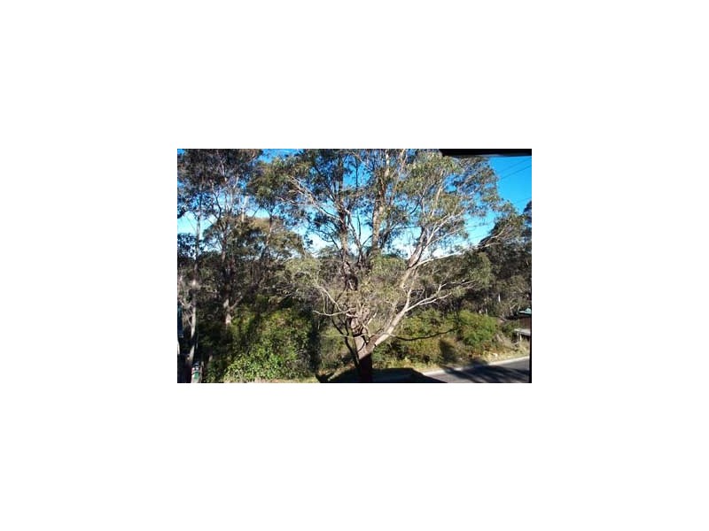 42 Rodriguez Ave, Blackheath NSW 2785