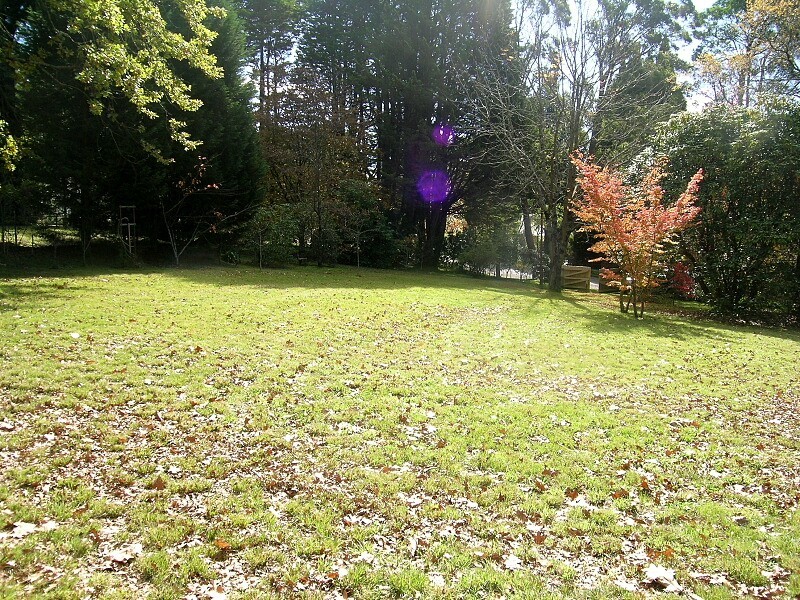 3 Brentwood Avenue, Blackheath NSW 2785