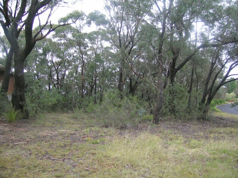 247 Connaught Road, Blackheath NSW 2785