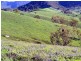 234 Table Rock Rd, Kanimbla NSW 2790