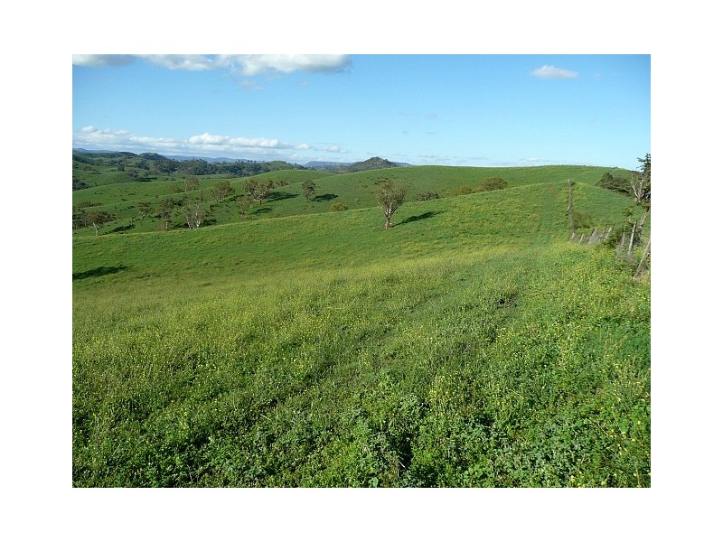 234 Table Rock Rd, Kanimbla NSW 2790