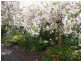 Blackheath NSW 2785