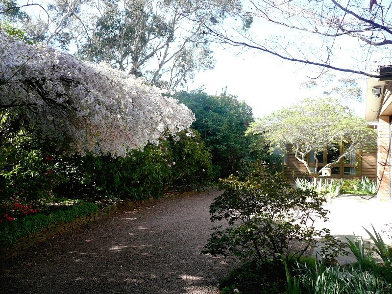Blackheath NSW 2785