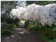 Blackheath NSW 2785