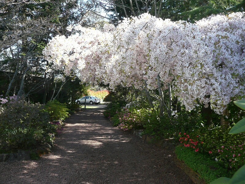 Blackheath NSW 2785