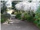 Blackheath NSW 2785