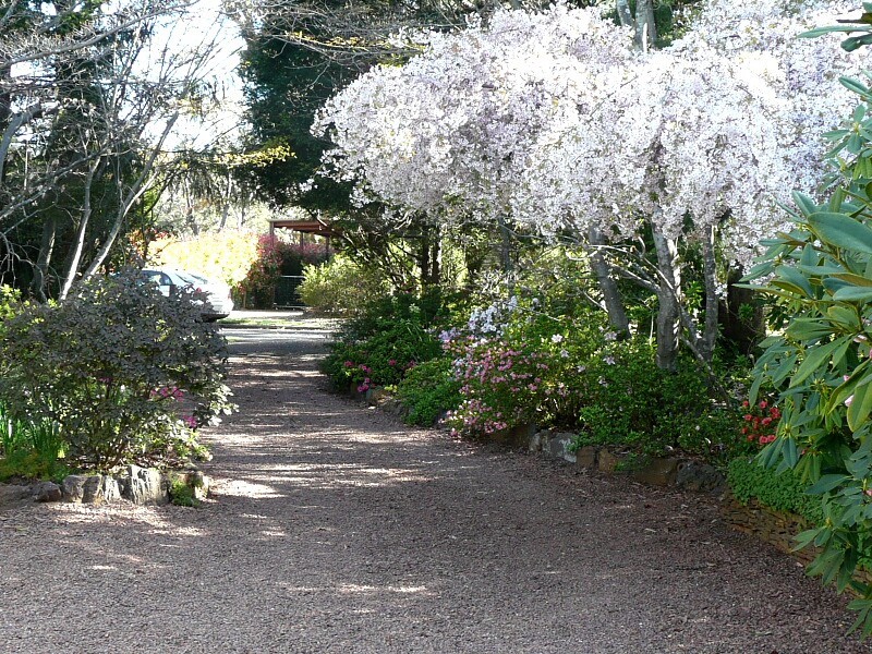 Blackheath NSW 2785