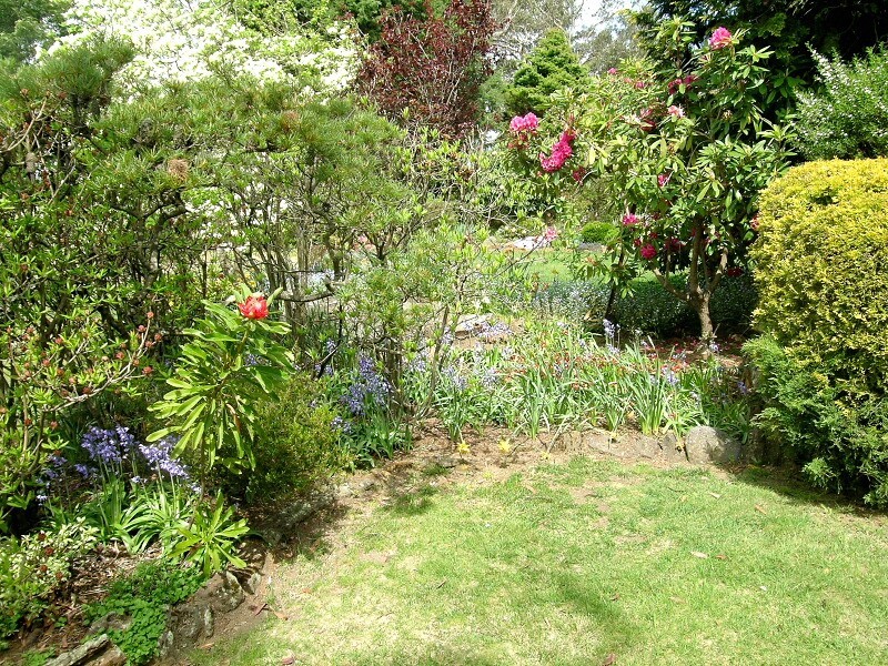 Blackheath NSW 2785