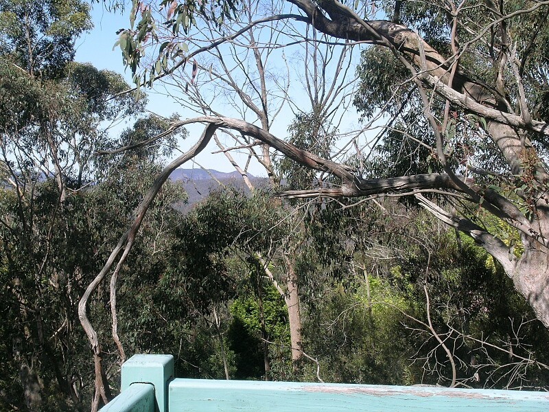 40 Sylvania Street, Mount Victoria NSW 2786