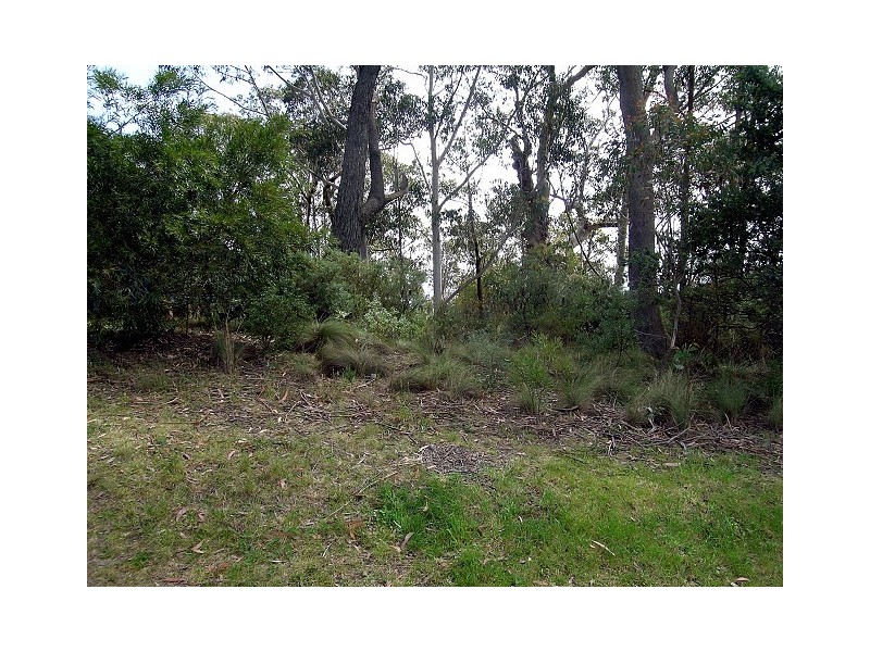 42 Sylvania Street, Mount Victoria NSW 2786