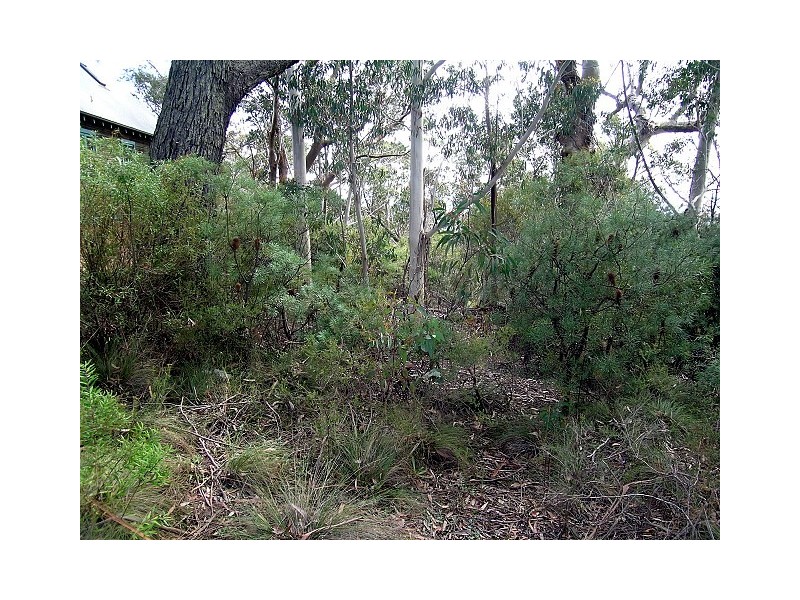 42 Sylvania Street, Mount Victoria NSW 2786