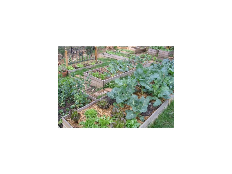 33 Jubilee Avenue, Blackheath NSW 2785