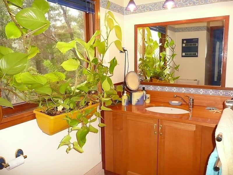 22 Wills Street, Blackheath NSW 2785