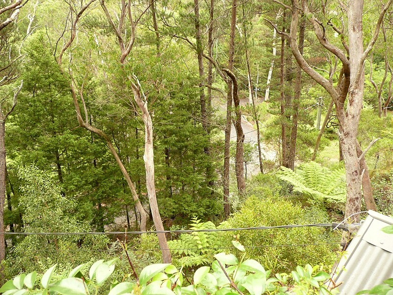 22 Wills Street, Blackheath NSW 2785