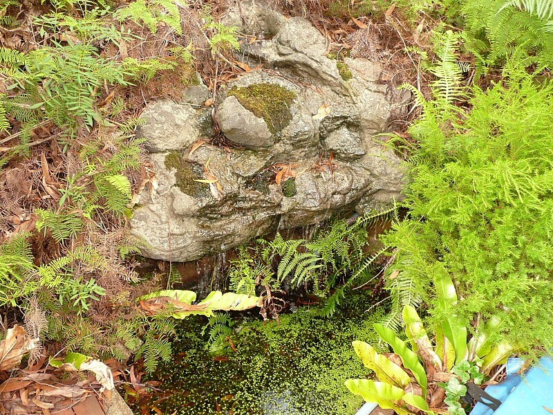 22 Wills Street, Blackheath NSW 2785