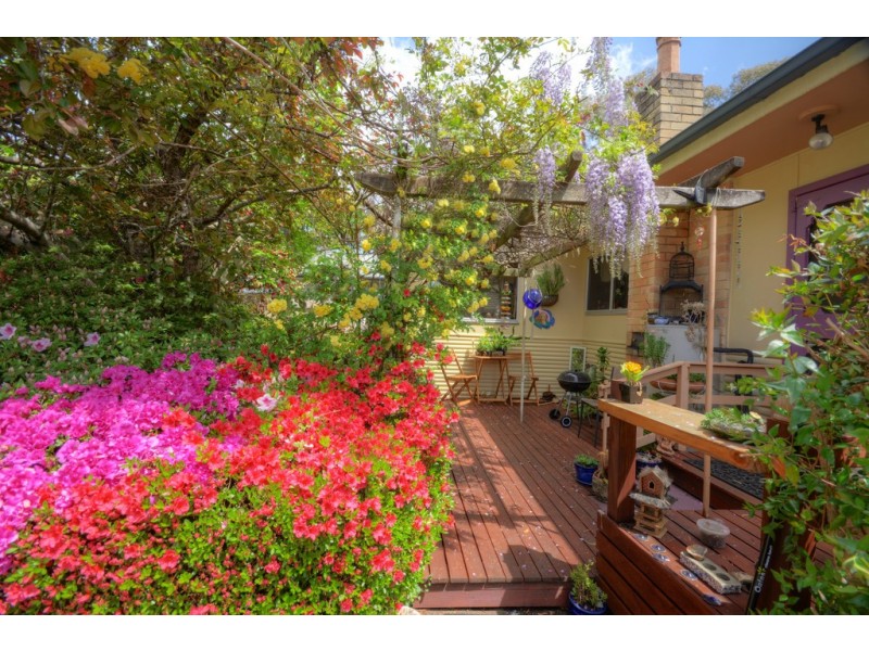 25 Harrison Street, Blackheath NSW 2785