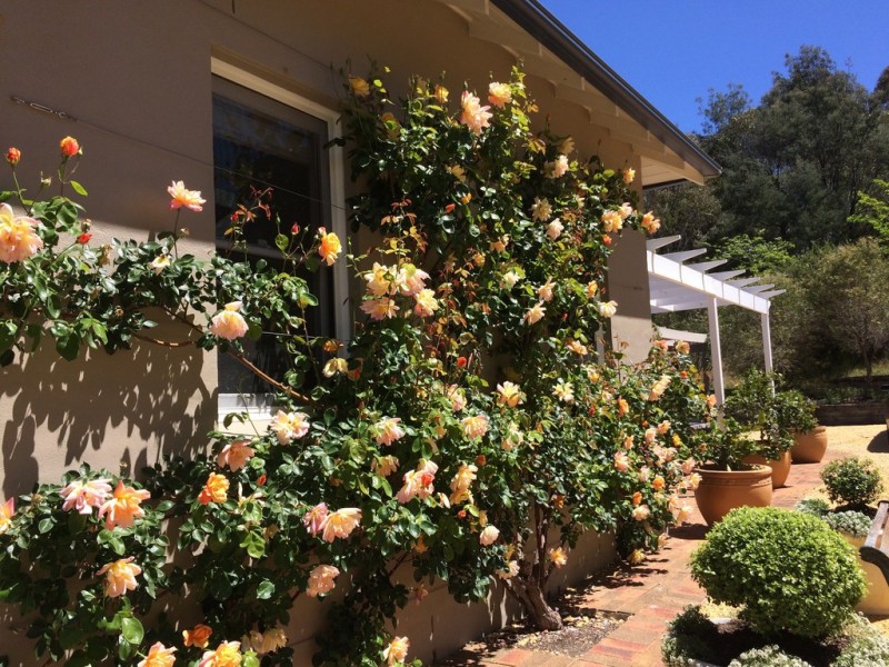 85A Cranbrook Park Road, Little Hartley NSW 2790