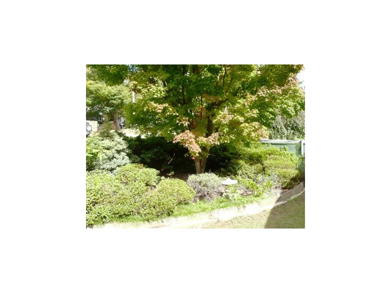 6 Harrison Street, Blackheath NSW 2785