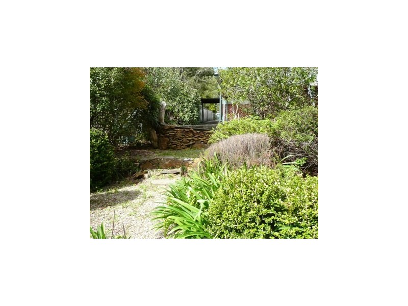 6 Harrison Street, Blackheath NSW 2785