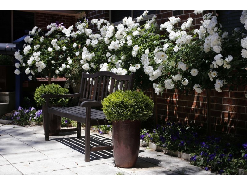 25 Portland Road, Medlow Bath NSW 2780