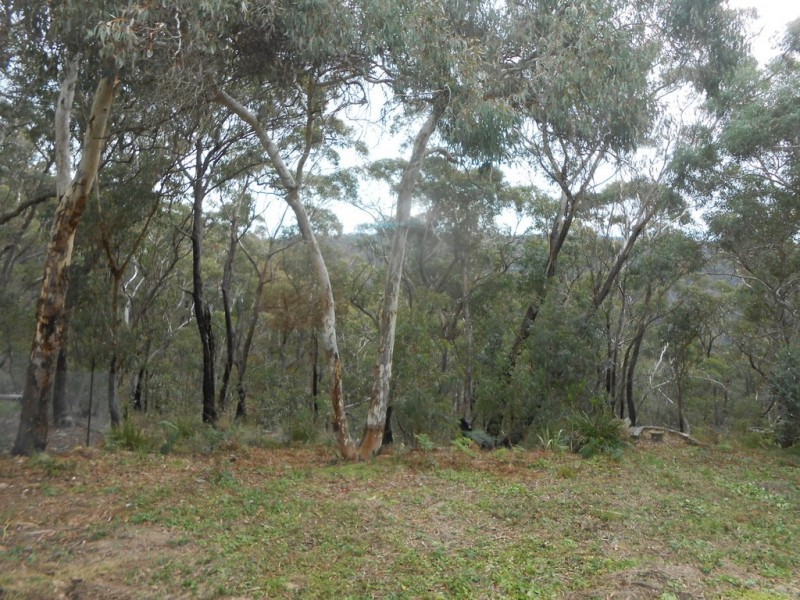 50 St Georges Parade, Mount Victoria NSW 2786