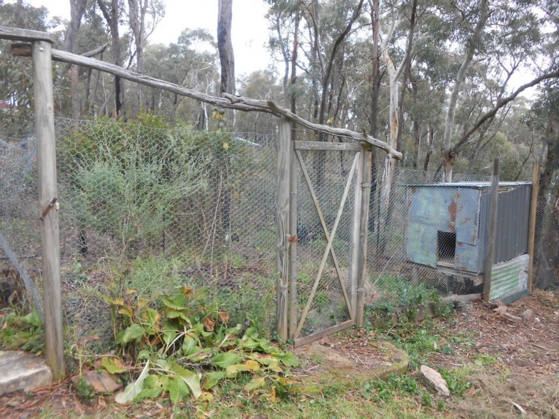 50 St Georges Parade, Mount Victoria NSW 2786