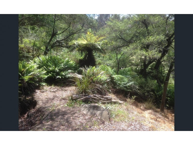 45 WENTWORTH STREET, Blackheath NSW 2785