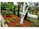 1 Goodare Street, Blackheath NSW 2785