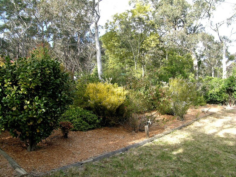 Blackheath NSW 2785