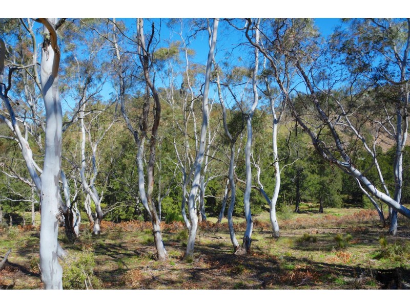 Lot 30 Megalong Place, Little Hartley NSW 2790