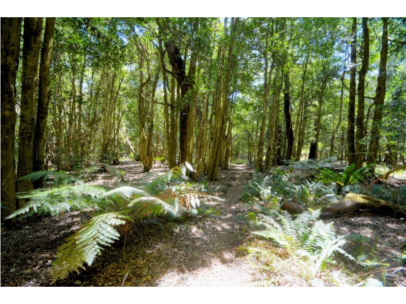 17 Farrer Road West, Mount Wilson NSW 2786