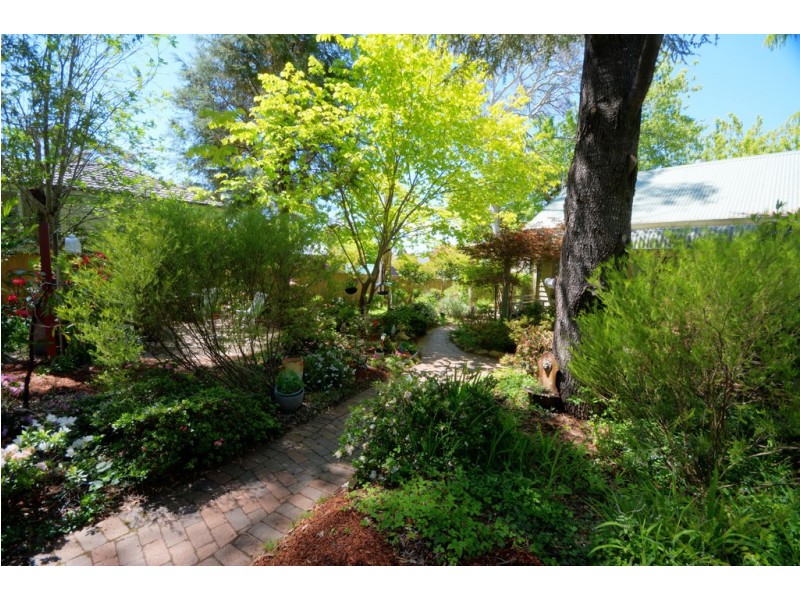 10 Grose Street, Blackheath NSW 2785