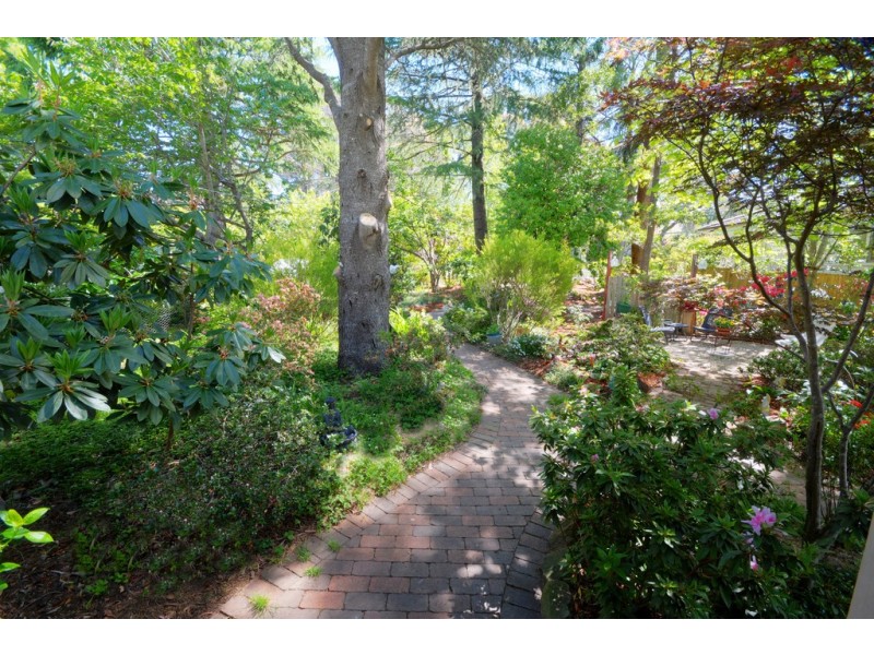 10 Grose Street, Blackheath NSW 2785