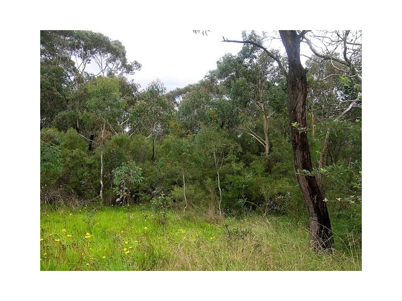 42 Delmonte Avenue, Medlow Bath NSW 2780