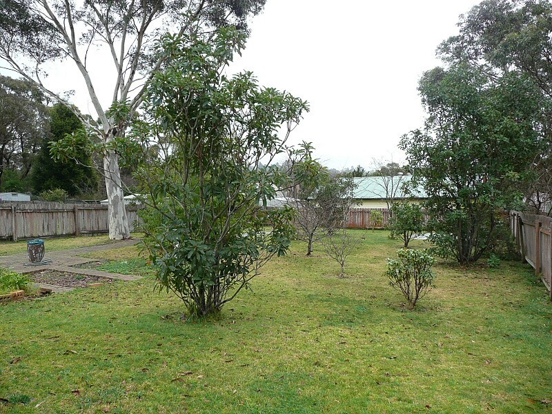 Blackheath NSW 2785