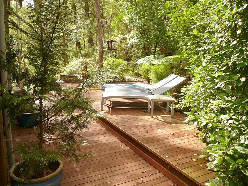 22 Wills Street, Blackheath NSW 2785