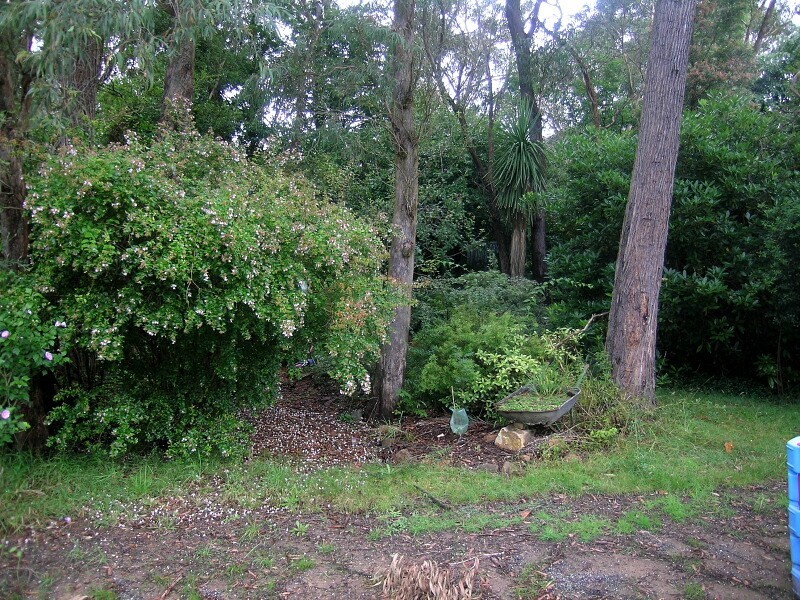 15 Links Rd, Blackheath NSW 2785