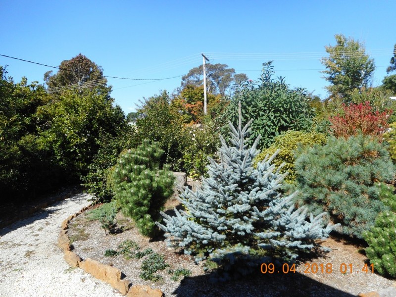 12 HARRISON STREET, Blackheath NSW 2785