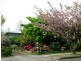 Blackheath NSW 2785