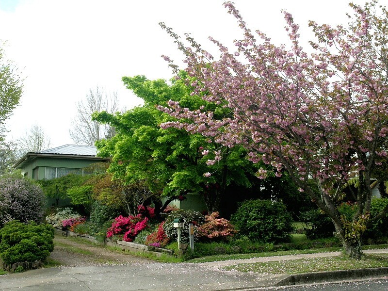Blackheath NSW 2785