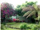 Blackheath NSW 2785
