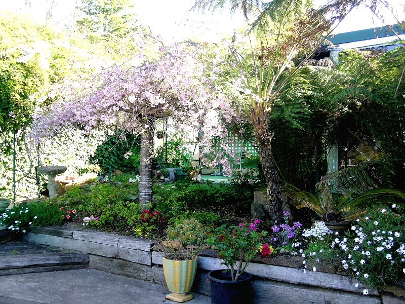 Blackheath NSW 2785