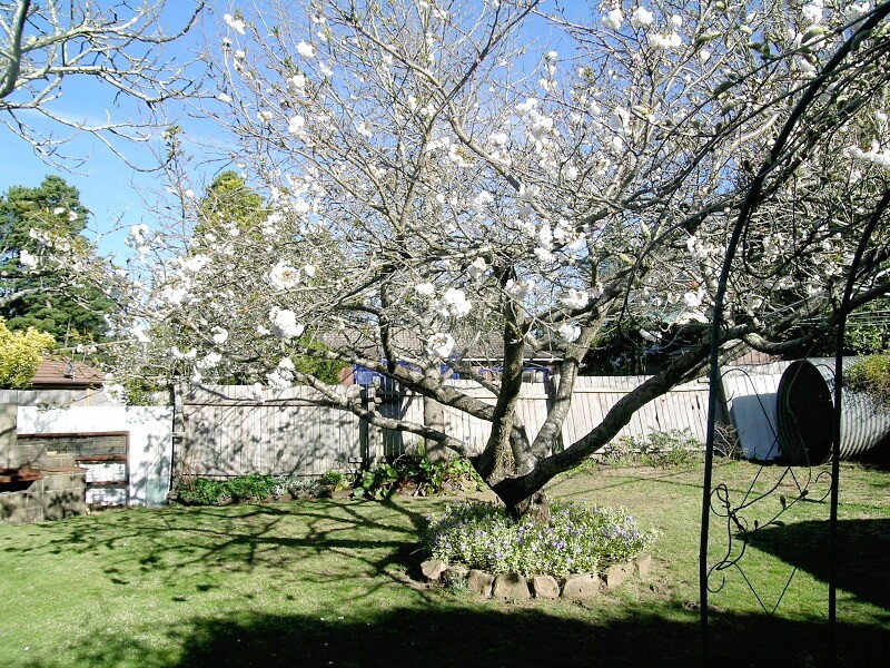 Blackheath NSW 2785