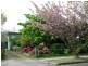Blackheath NSW 2785