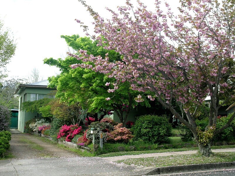 Blackheath NSW 2785