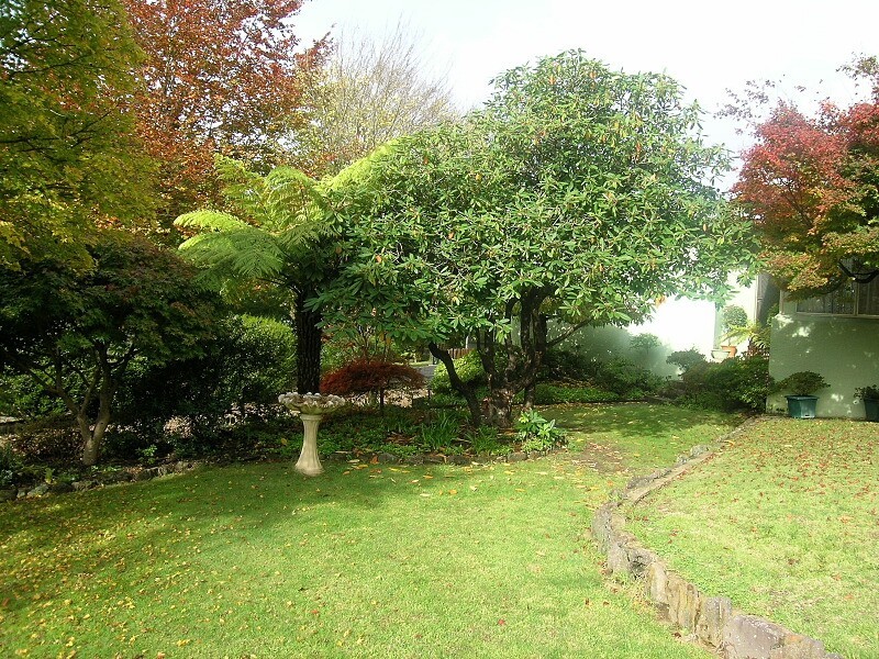 Blackheath NSW 2785
