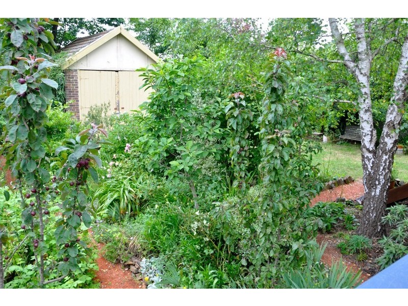 12 Harley Avenue, Mount Victoria NSW 2786