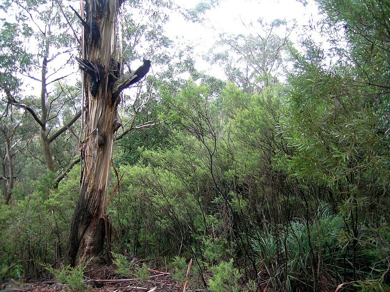 182 Victoria St, Mount Victoria NSW 2786