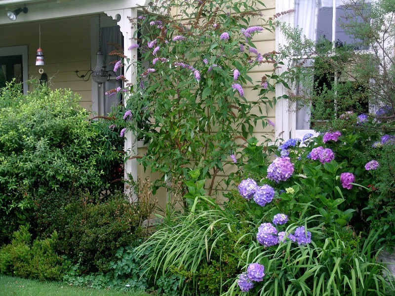 Blackheath NSW 2785