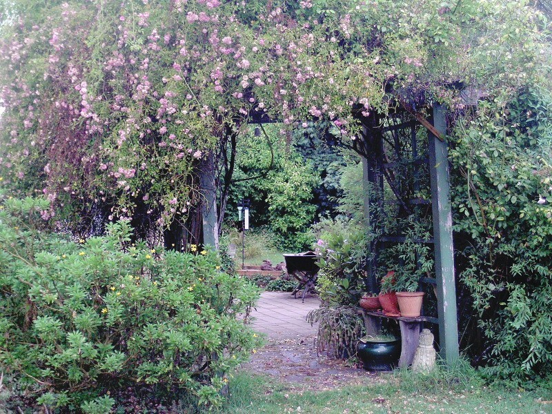 Blackheath NSW 2785